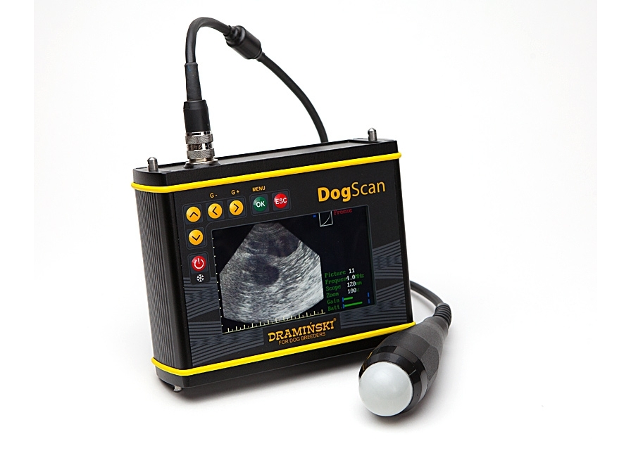 Veterinarinis ultragarso skeneris DogScan