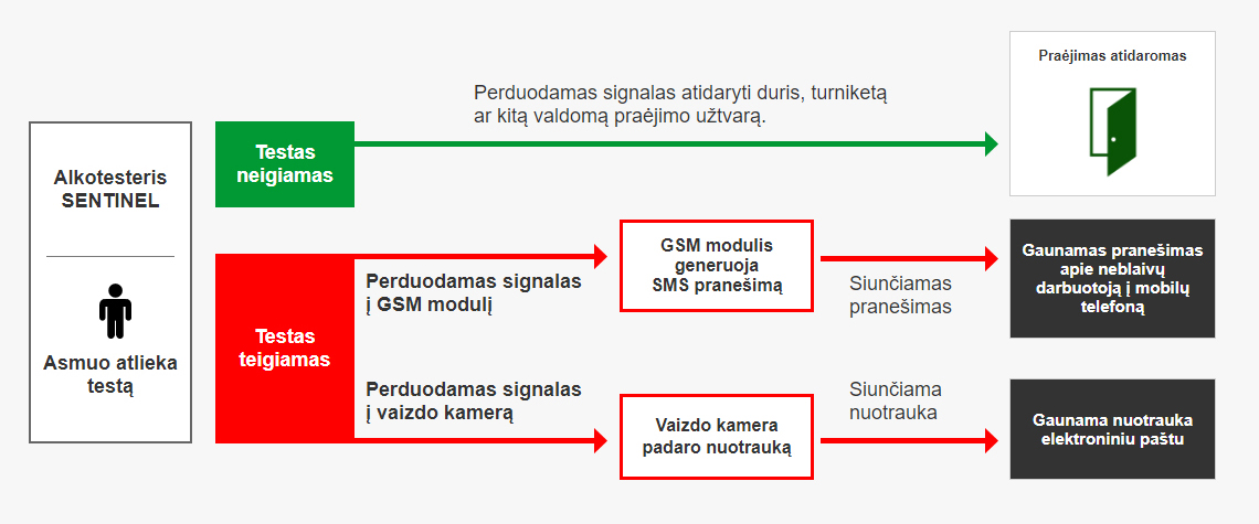 alkotesteris sentinel
