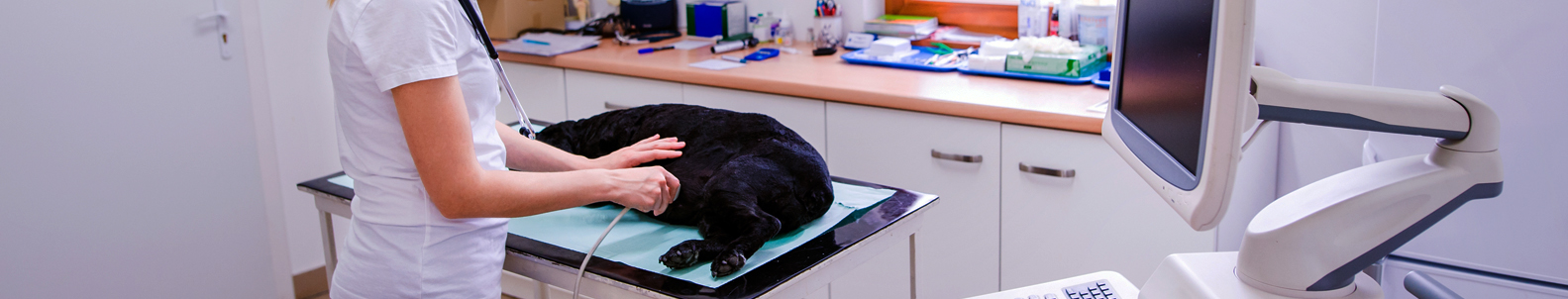 Veterinariniai ultragarso skeneriai