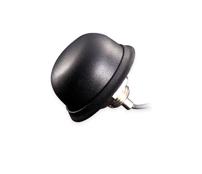 Anti-vandal GSM antenna ESIM