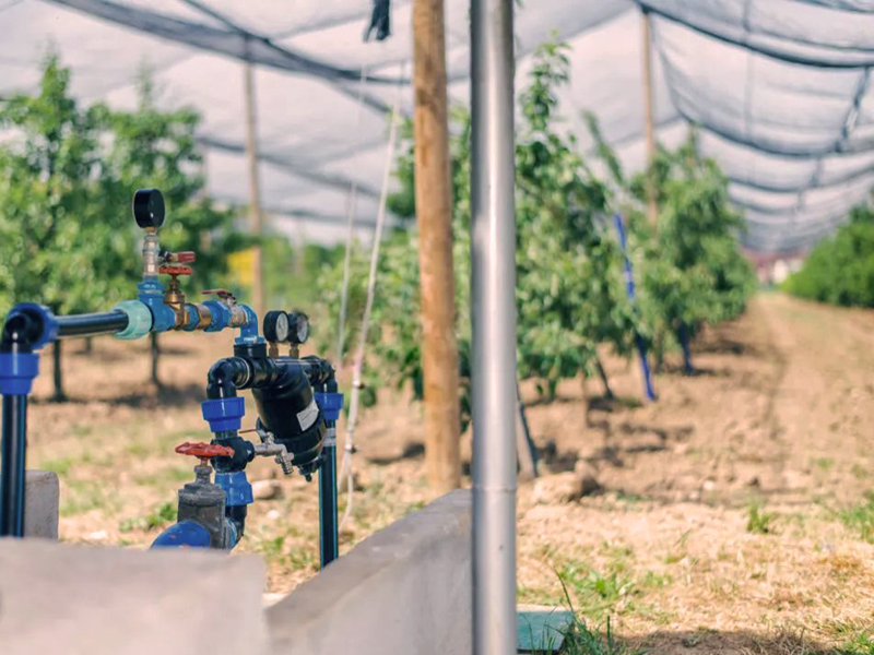 Automatinių laistymo sistemų projektavimas, įrengimas ir aptarnavimas  
Projektuojame ir įrengiame automatines laistymo, drėkinimo sistemas. Esant poreikiui, atliekame tiek mūsų sumontuotos, tiek jūsų turimos įrangos aptarnavimą, atnaujinimą. 
Susisiekite su mumis.  Pagal jūsų pateiktą informaciją ir poreikius įvertinsime galimybes bei pateiksime pasiūlymus, kokius efektyviausius sprendimus galima įgyvendinti.