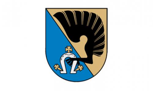 Sumontavome vaizdo kamerą Kėdainiuose