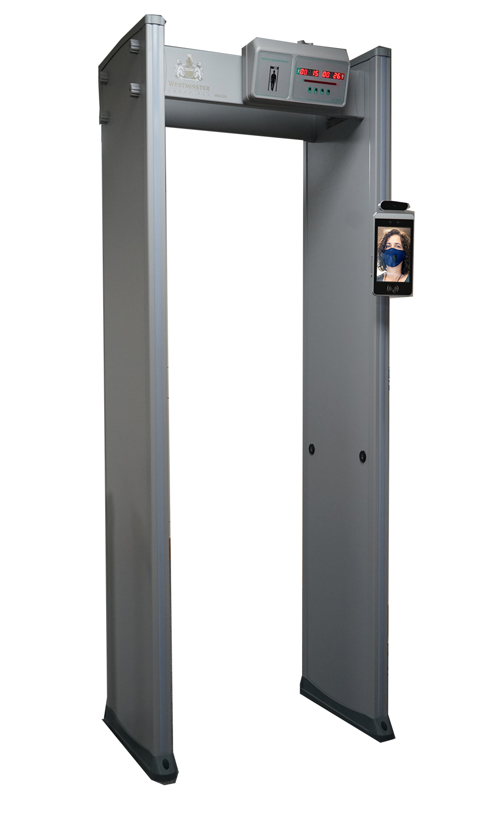 Temperatūros ir metalo detektorius WG 320