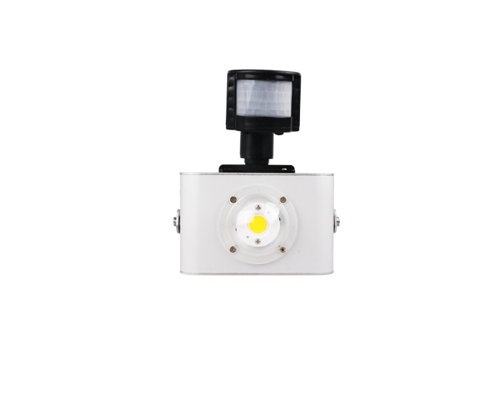 LED lempa su jutikliu 10W COB 004223 