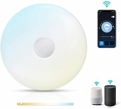Išmanusis šviestuvas SMART LED CEILING LIGHT 18W WIFI CCT